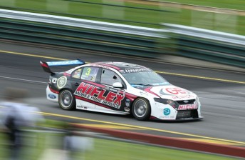thum The Team Hiflex Falcon, pictured here at Sandown