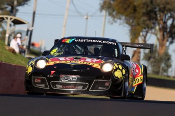 The #5 VIP Petfoods Porsche