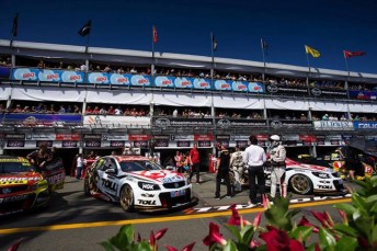 Walkinshaw Racing's three-car stable in the Surfers Paradise pitlane