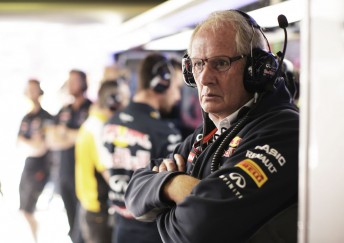 Red Bull Racing's motorsport advisor Helmut Marko has been particularly vocal regarding the team;s struggles with Renault