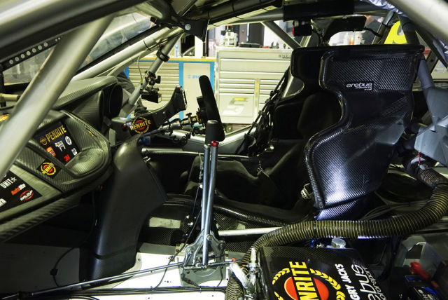 The E-cell inside Reynolds' Holden